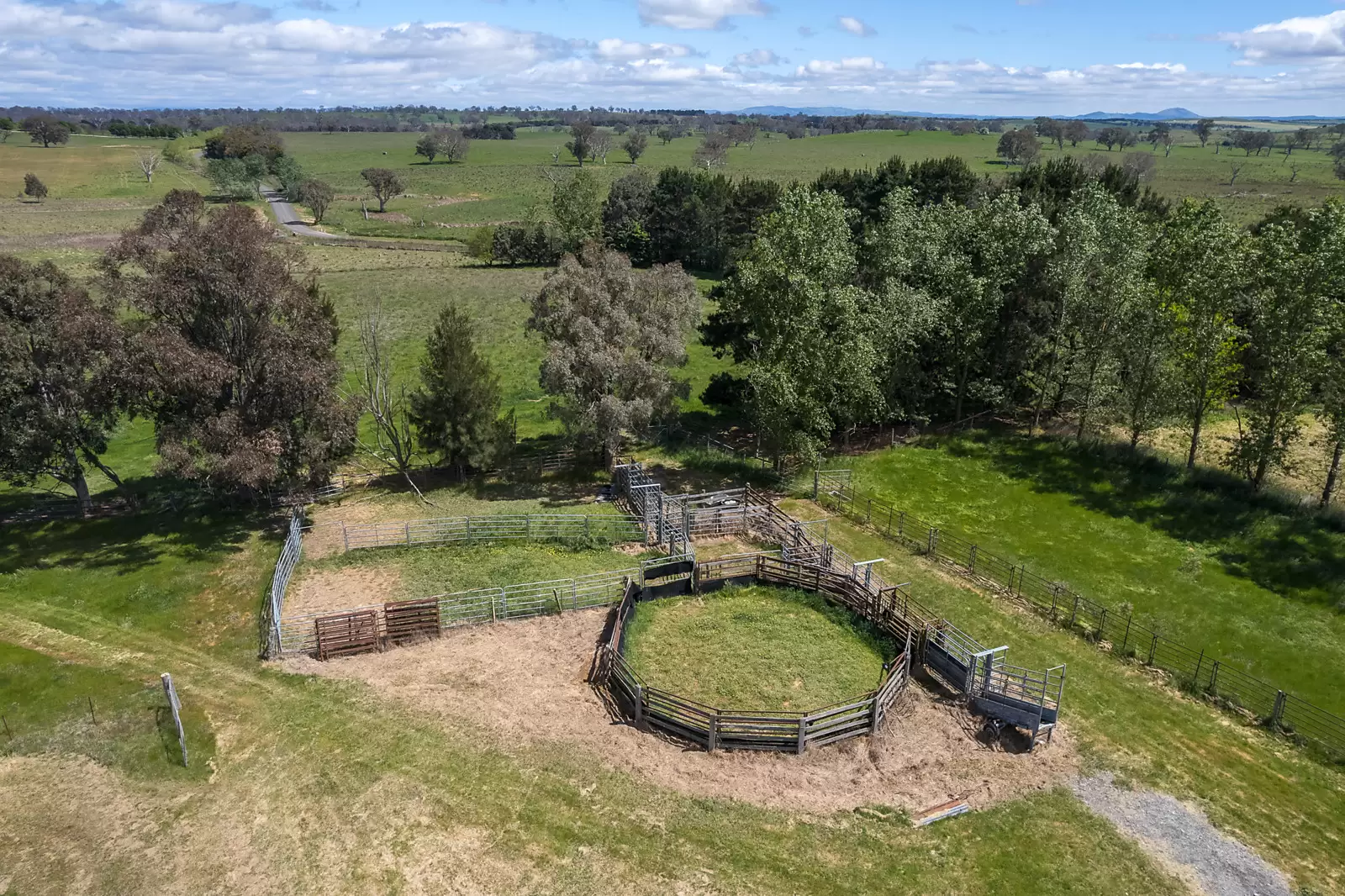 239 Longrail Gully Road, Murrumbateman Sold by Sydney Sotheby's International Realty - image 10