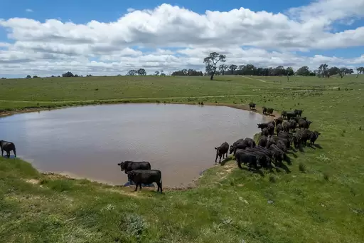 239 Longrail Gully Road, Murrumbateman Sold by Sydney Sotheby's International Realty