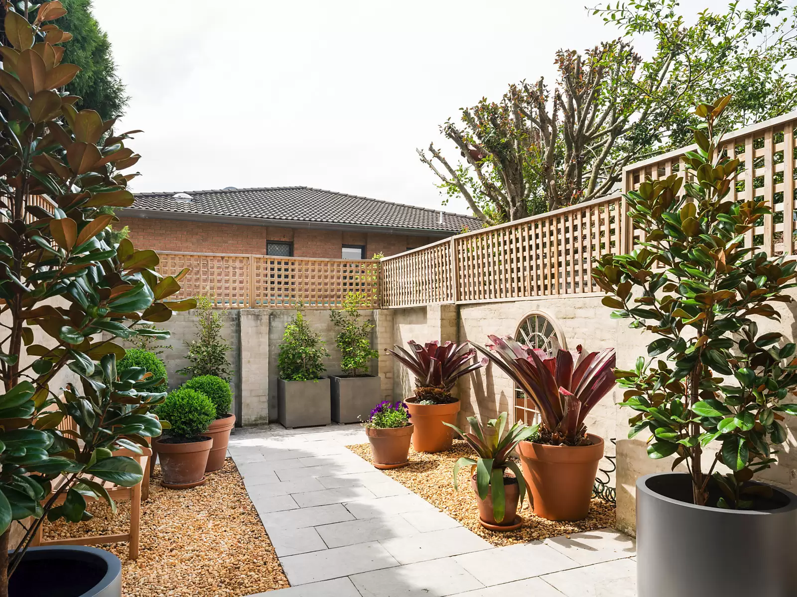 66 John Street, Woollahra Sold by Sydney Sotheby's International Realty - image 7
