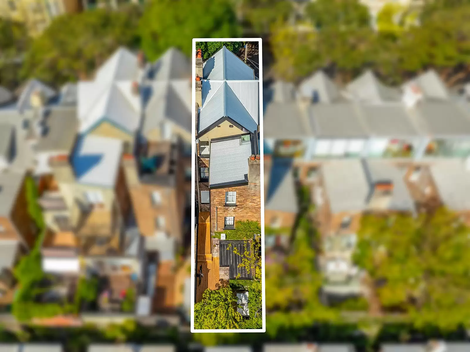 279 Forbes Street, Darlinghurst Sold by Sydney Sotheby's International Realty - image 17