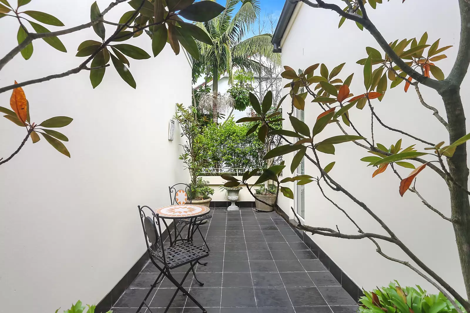 3/16-18 Etham Avenue, Darling Point Sold by Sydney Sotheby's International Realty - image 10