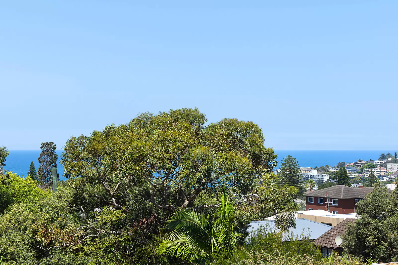 1 Belgrave Street, Bronte Sold by Sydney Sotheby's International Realty - image 17