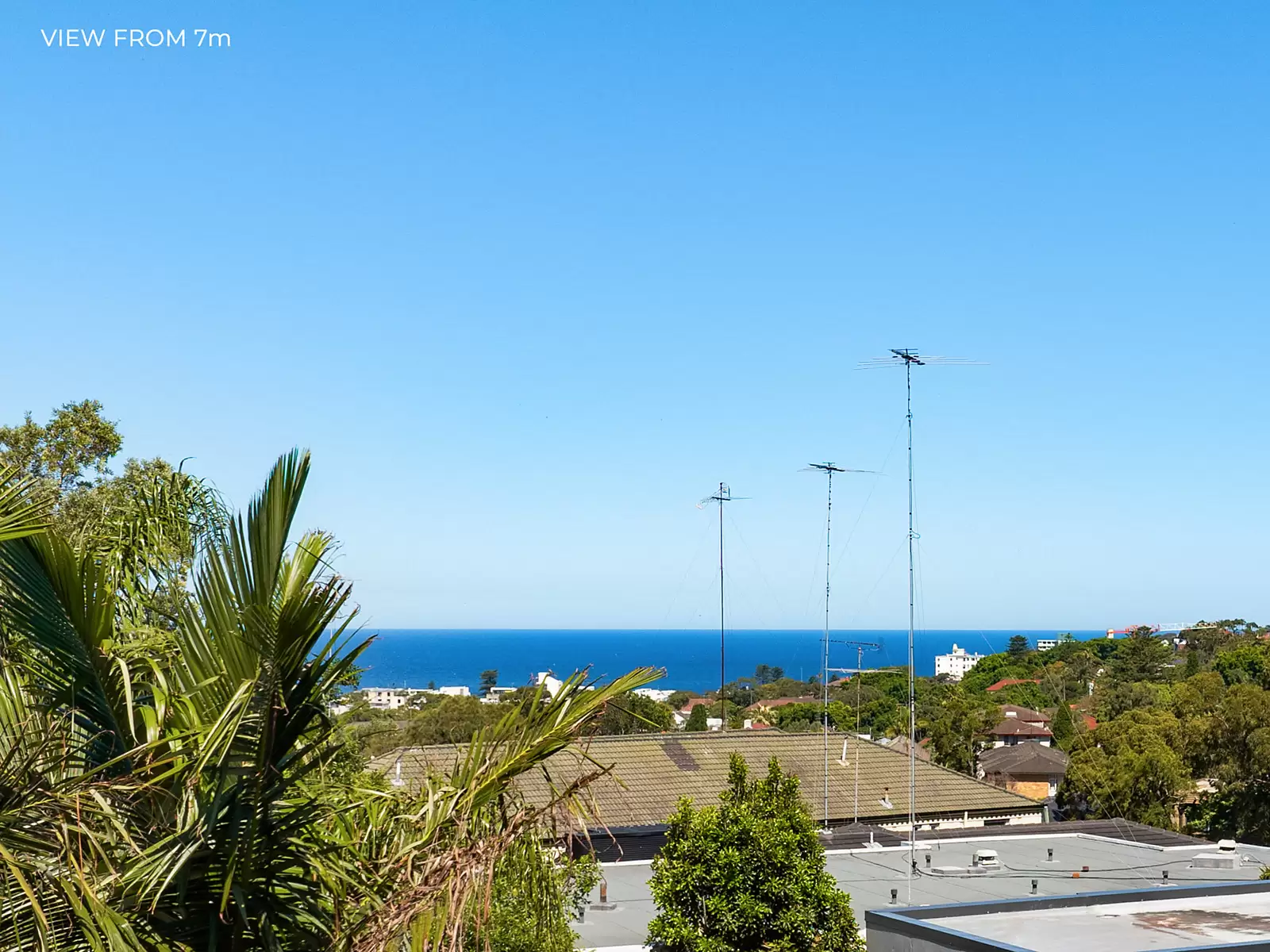 25 Birriga Road, Bellevue Hill For Sale by Sydney Sotheby's International Realty - image 12
