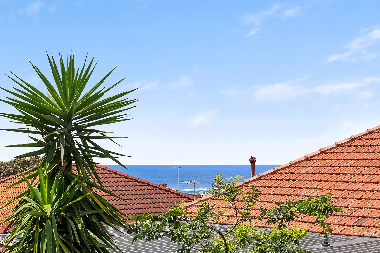 25 Moira Crescent, Coogee Sold by Sydney Sotheby's International Realty - image 4