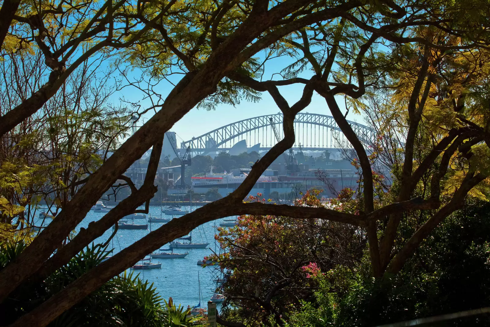 1/10 Yarranabbe Road, Darling Point Leased by Sydney Sotheby's International Realty - image 14