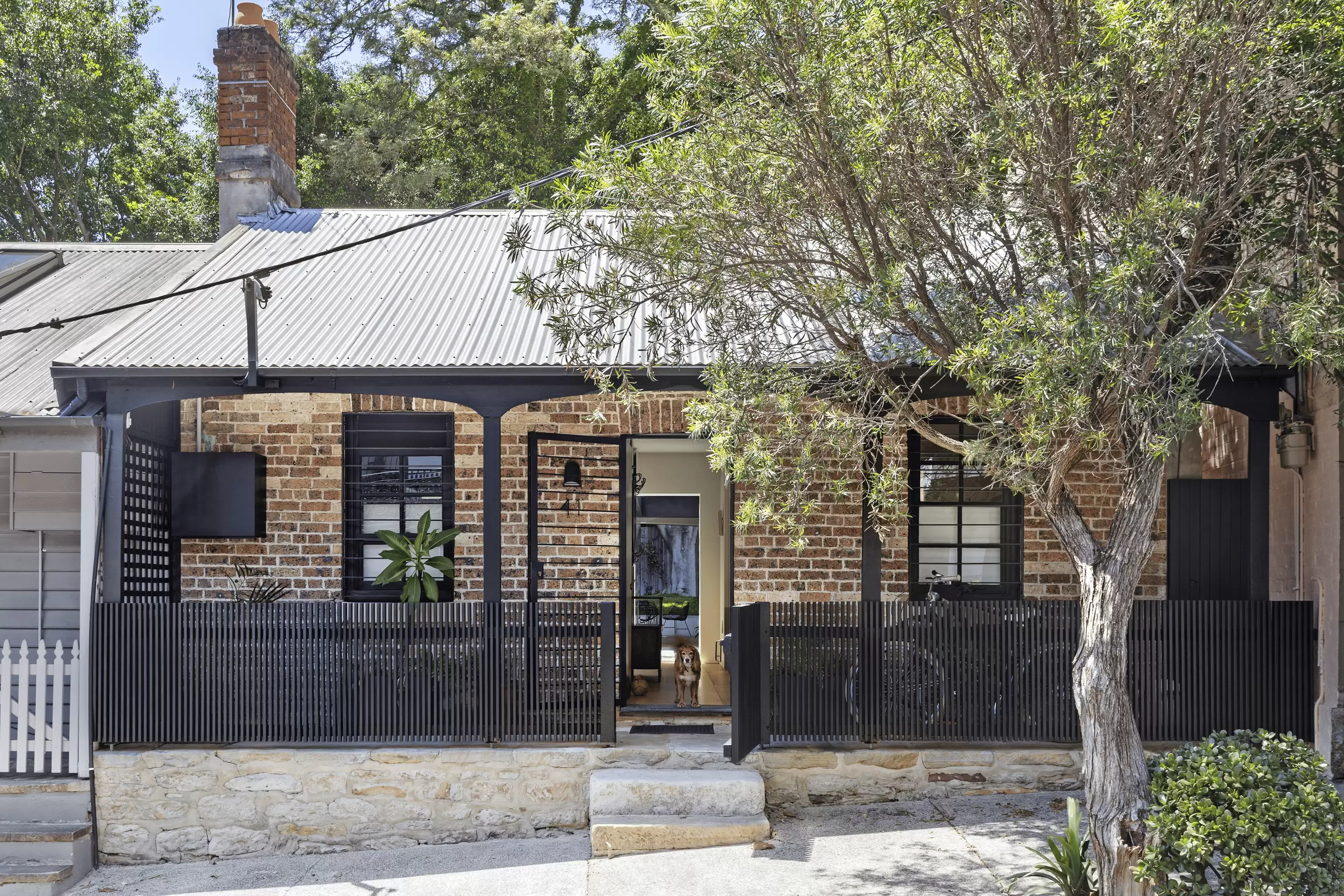 41 Comber Street, Paddington Sold by Sydney Sotheby's International Realty - image 20