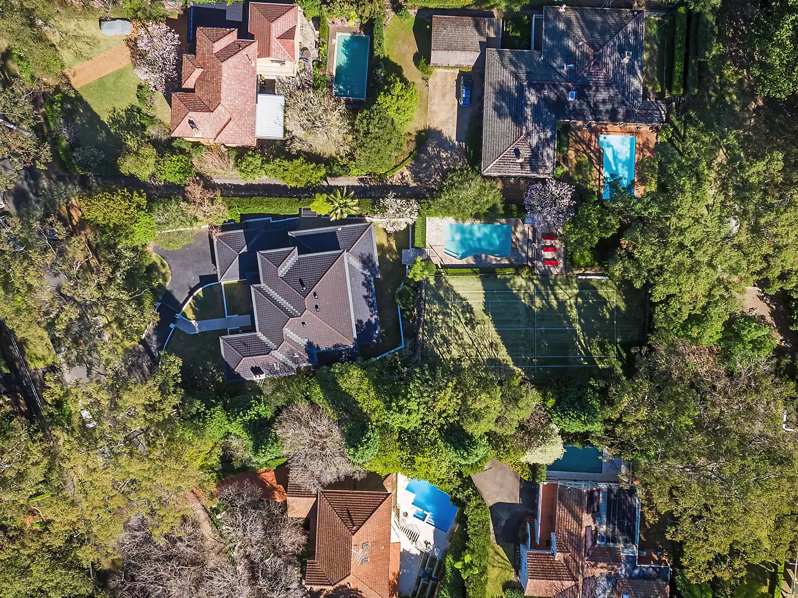 33 Pymble Avenue, Pymble Sold by Sydney Sotheby's International Realty - image 8
