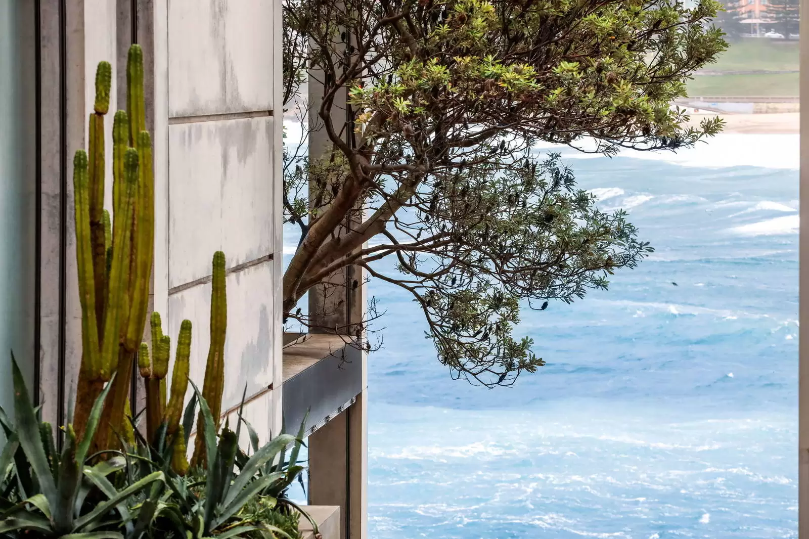 21/101 Ramsgate Avenue, North Bondi Sold by Sydney Sotheby's International Realty - image 5