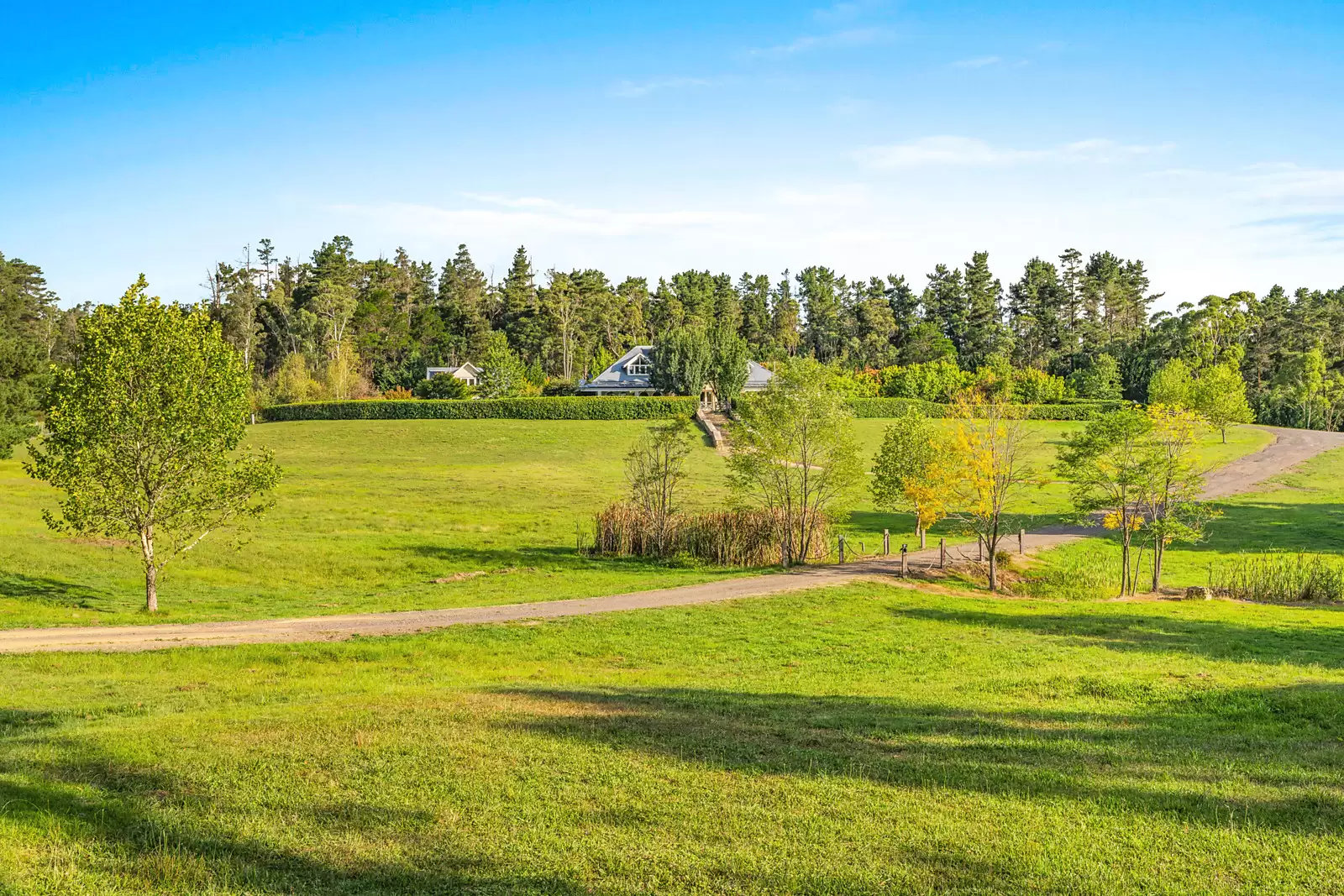 234 Corang Post Office Road, Braidwood Sold by Sydney Sotheby's International Realty - image 3