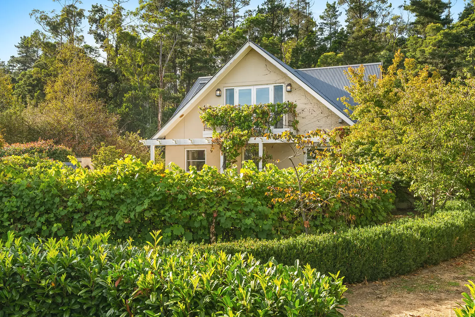 234 Corang Post Office Road, Braidwood Sold by Sydney Sotheby's International Realty - image 6
