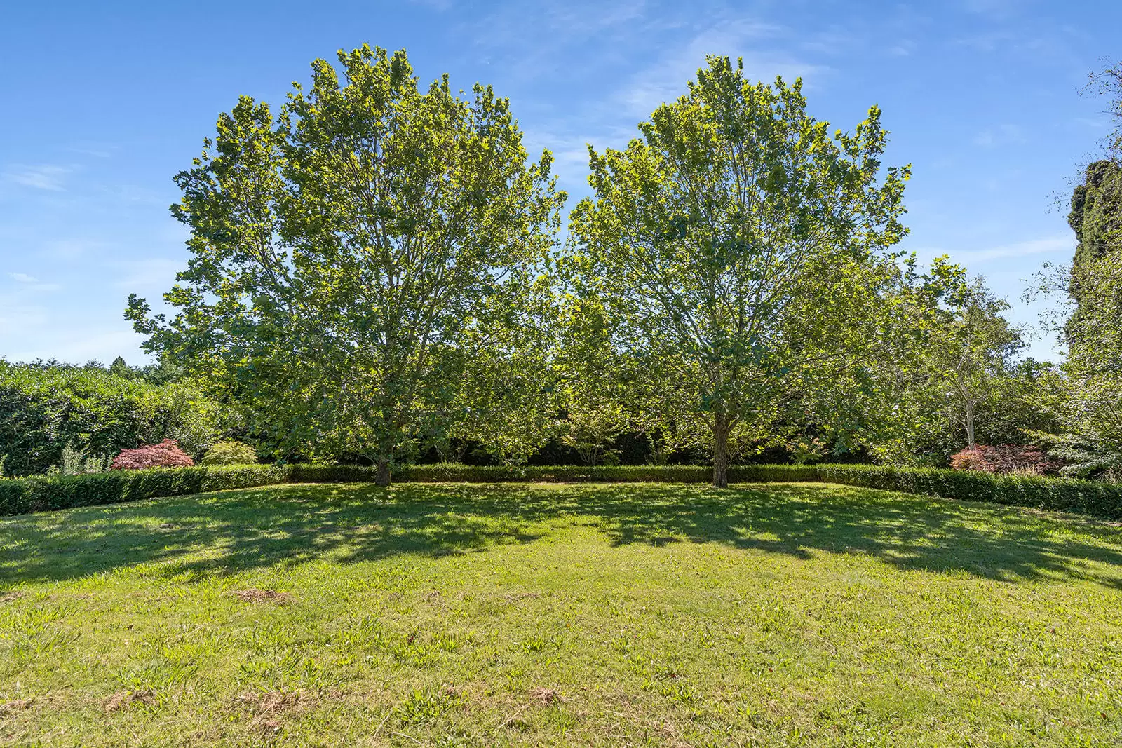 11 Links Road, Burradoo Sold by Sydney Sotheby's International Realty - image 23
