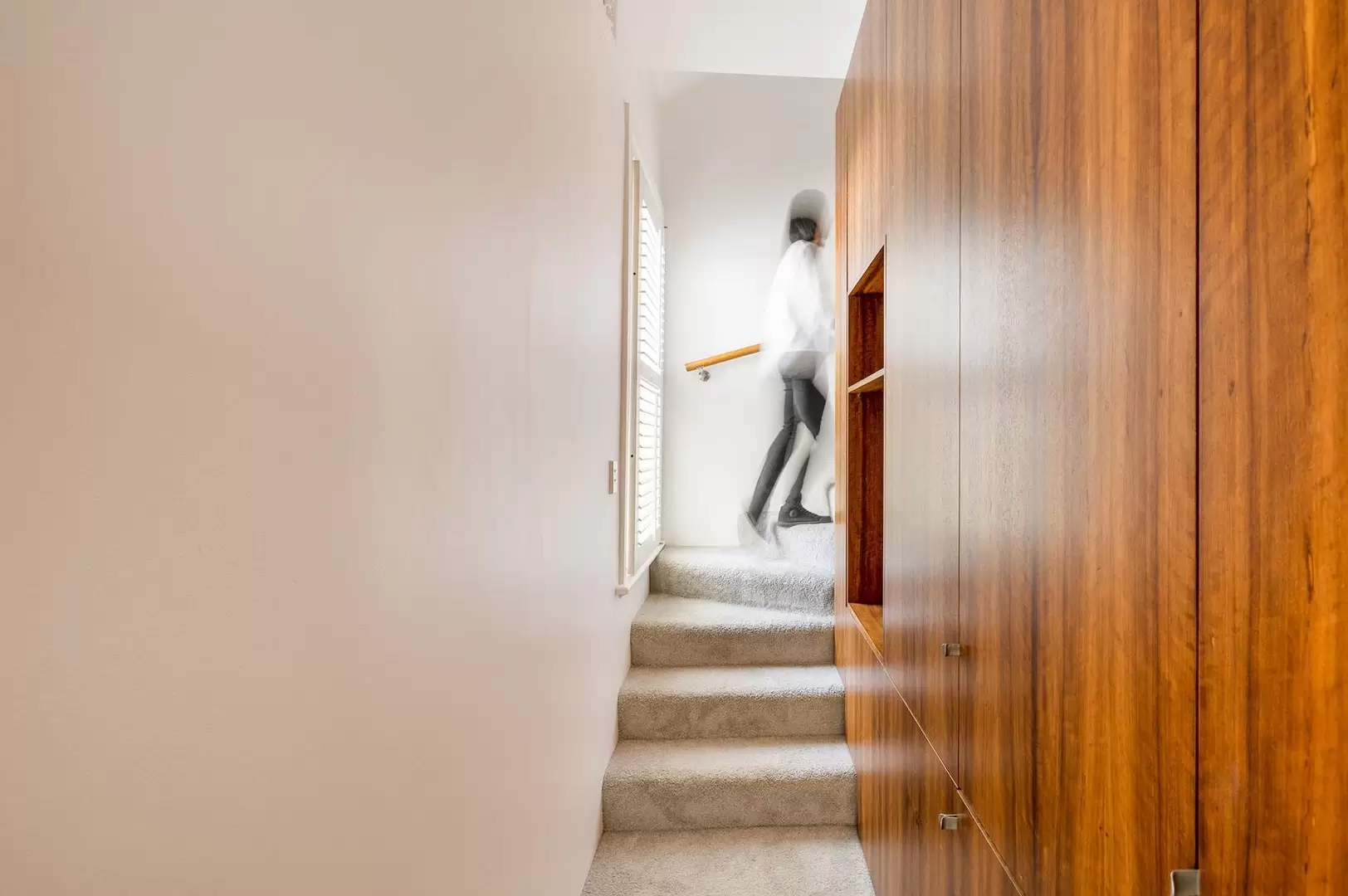 12 Queen Road, Paddington Sold by Sydney Sotheby's International Realty - image 19