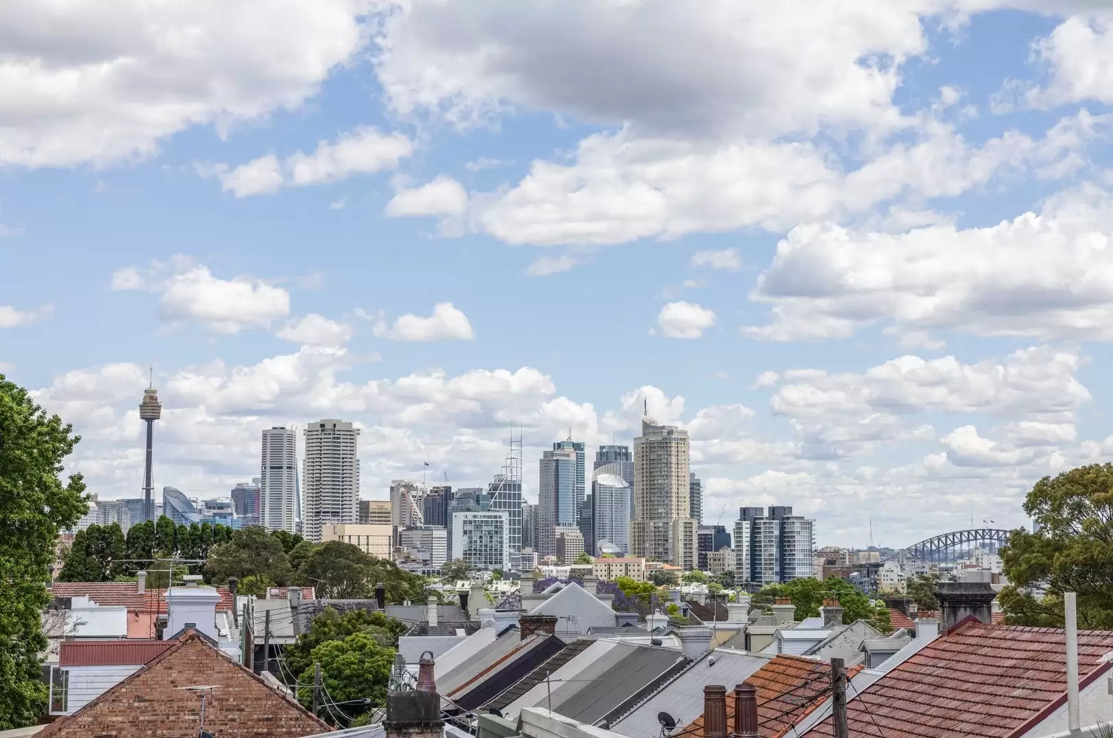 12 Queen Road, Paddington Sold by Sydney Sotheby's International Realty - image 23
