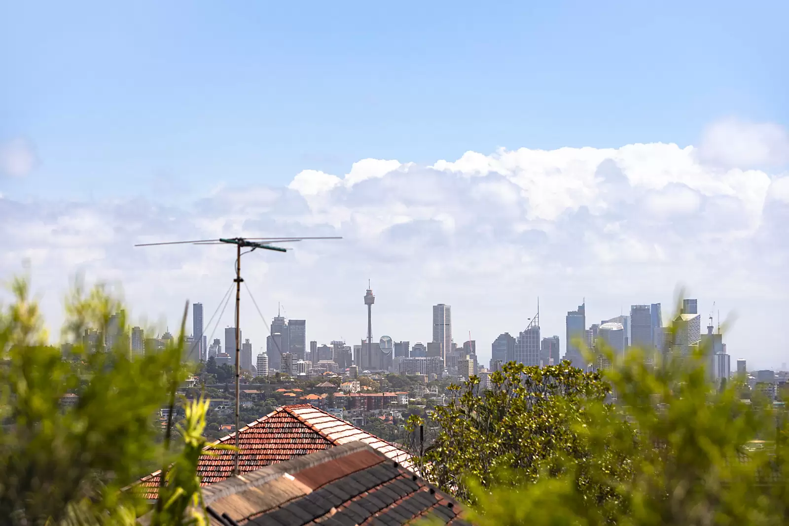 108 Dover Road, Dover Heights Sold by Sydney Sotheby's International Realty - image 9