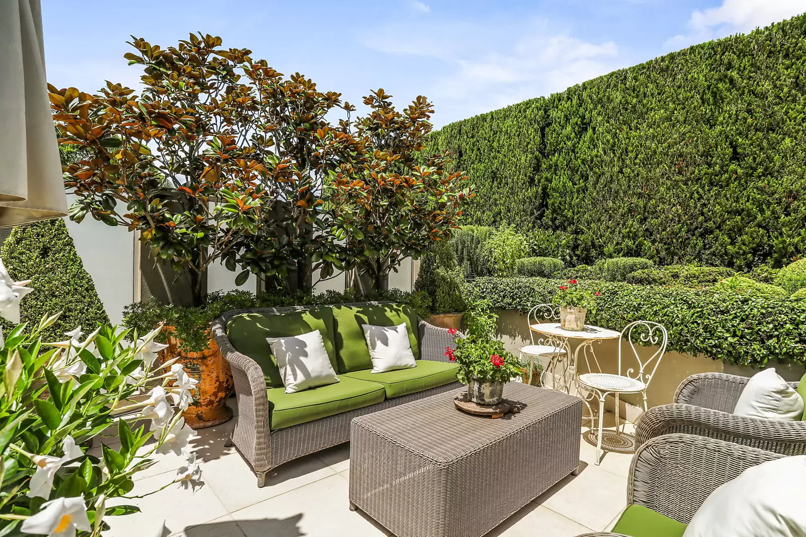 4/10-12 Cooper Street, Double Bay Sold by Sydney Sotheby's International Realty - image 8