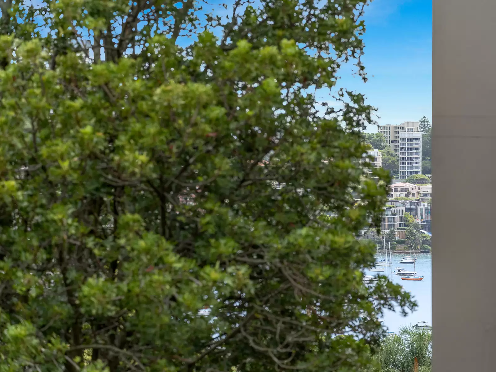 17/5 St Marks Road, Darling Point Sold by Sydney Sotheby's International Realty - image 9