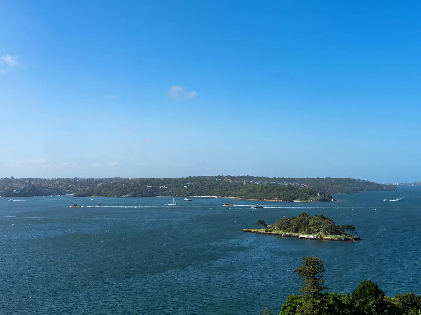 13C/5-11 Thornton Street, Darling Point Sold by Sydney Sotheby's International Realty - image 12