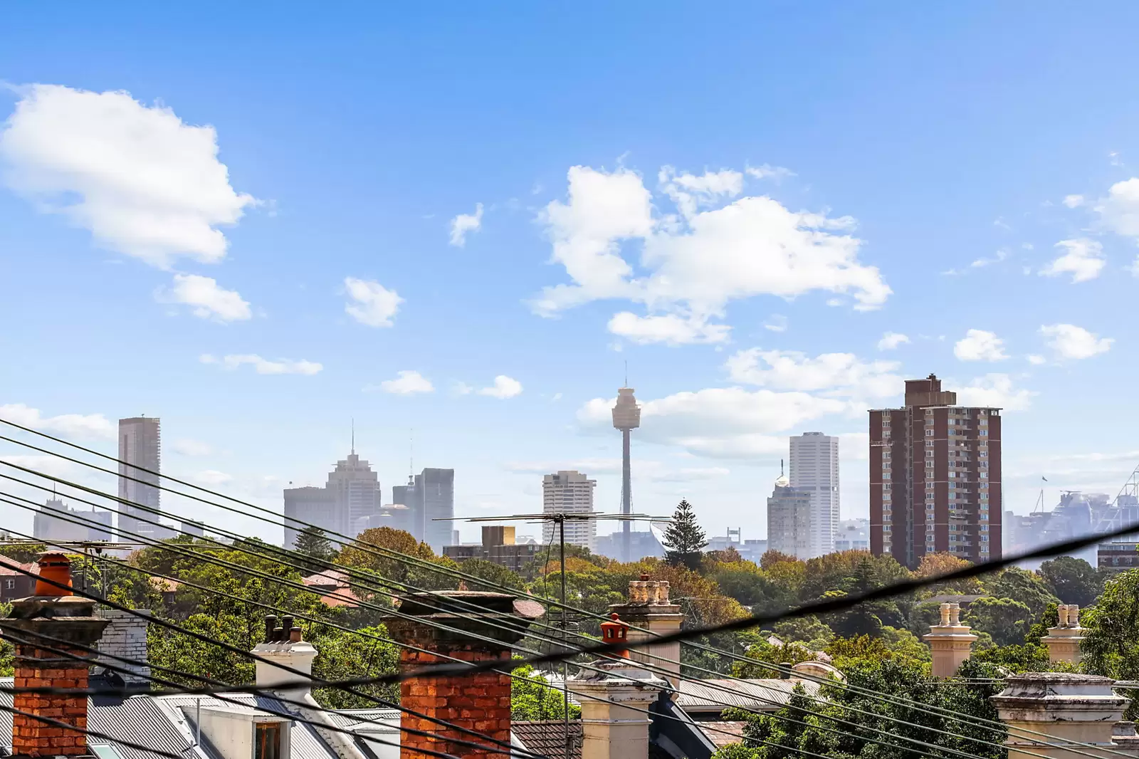 3 Junction Street, Woollahra Sold by Sydney Sotheby's International Realty - image 11