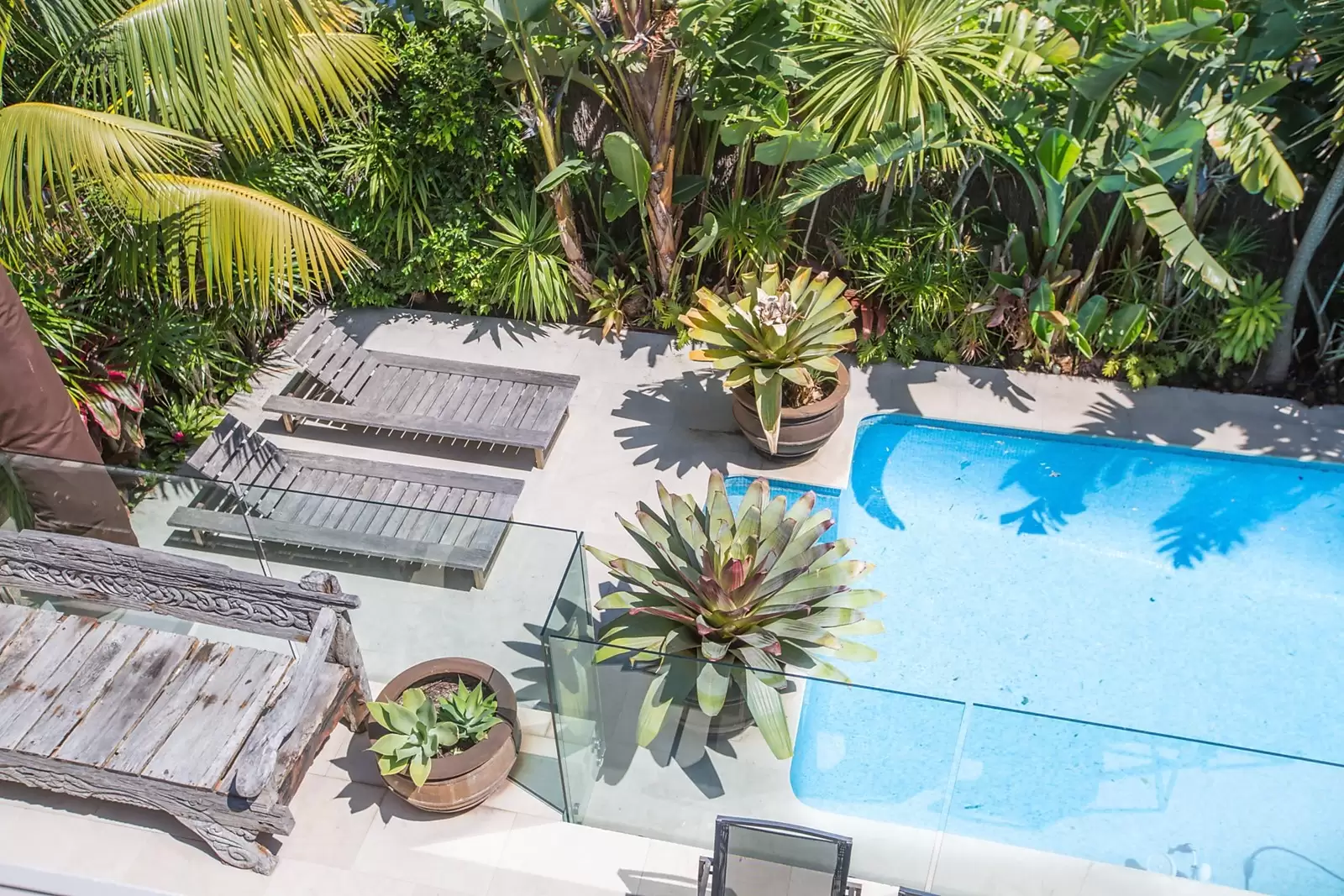 153 Dover Road, Dover Heights Sold by Sydney Sotheby's International Realty - image 19