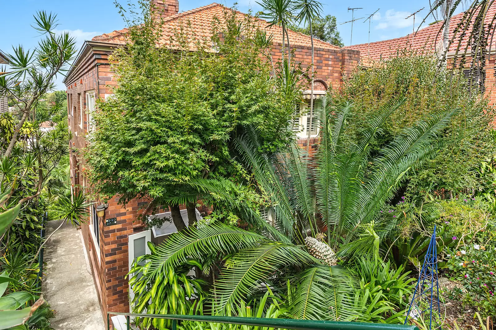 3/107 Carrington Road, Coogee Sold by Sydney Sotheby's International Realty - image 10