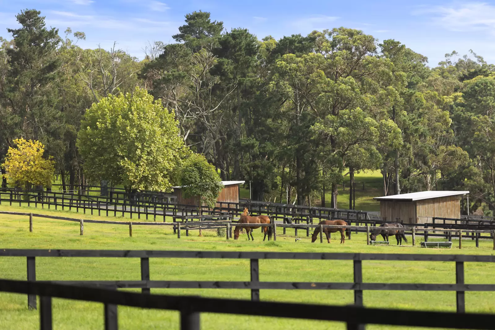 176 Greta Road, Kulnura For Sale by Sydney Sotheby's International Realty - image 23