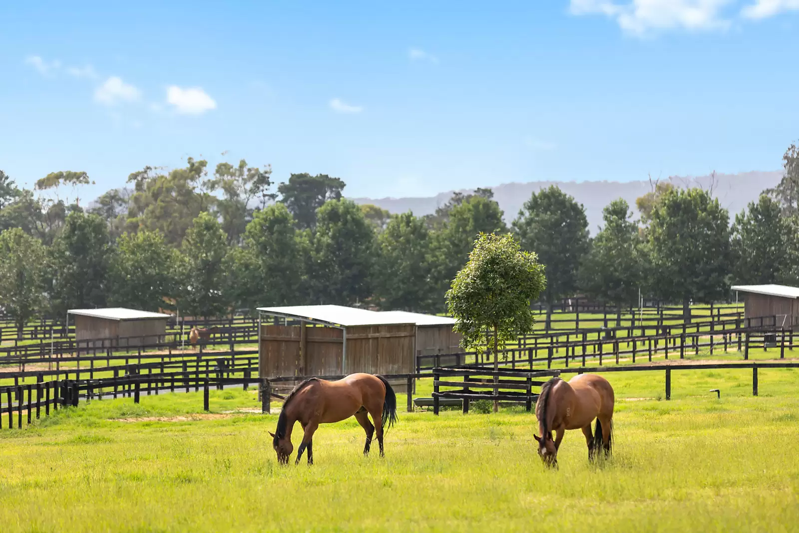 176 Greta Road, Kulnura For Sale by Sydney Sotheby's International Realty - image 33