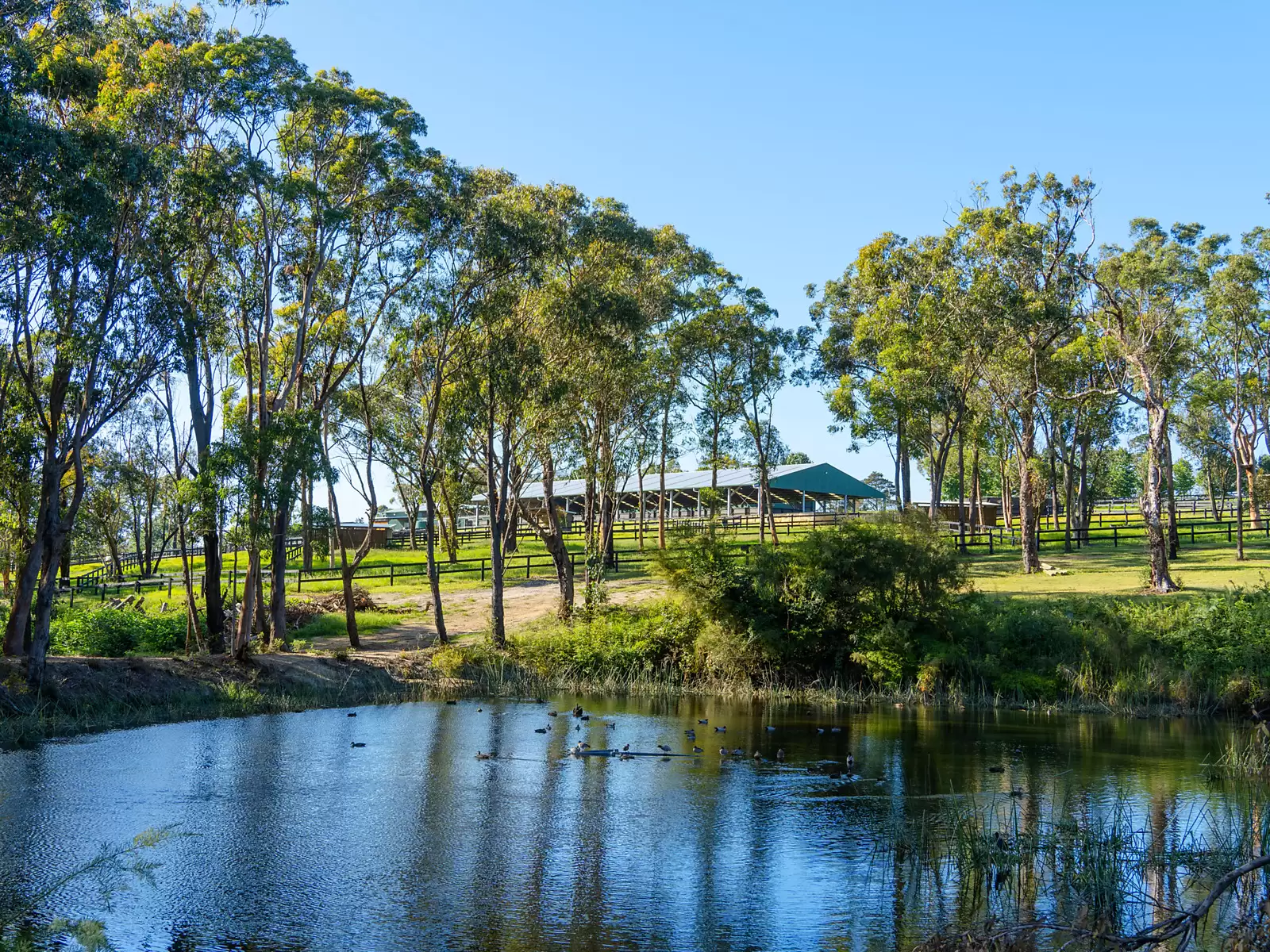 176 Greta Road, Kulnura For Sale by Sydney Sotheby's International Realty - image 27