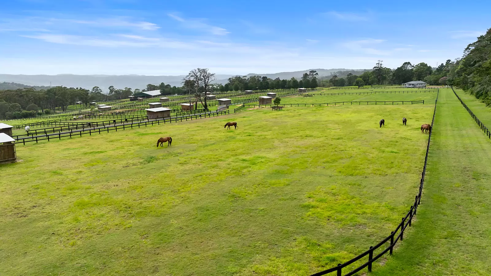 176 Greta Road, Kulnura For Sale by Sydney Sotheby's International Realty - image 5