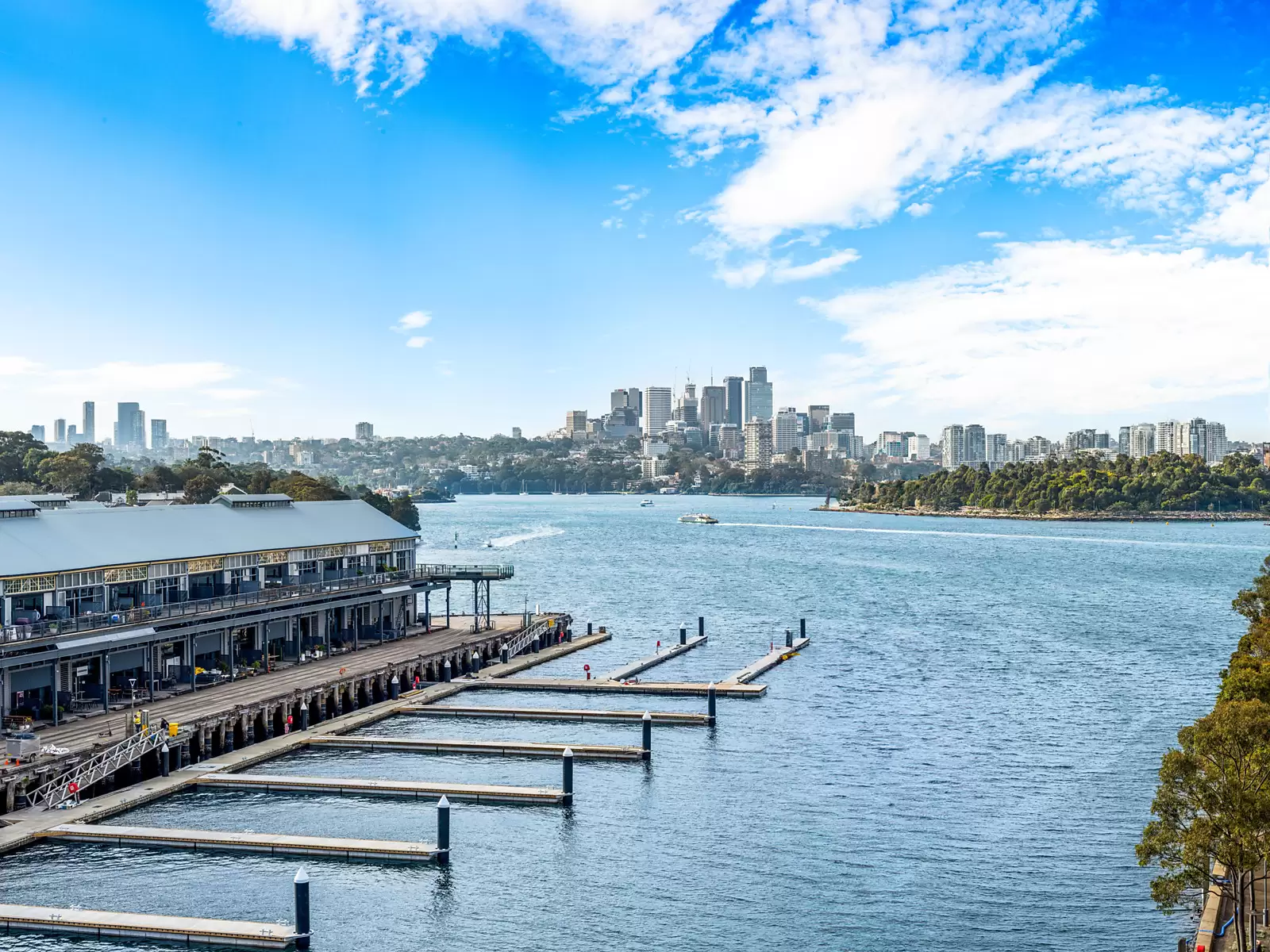 201/8 Darling Island Road, Pyrmont Sold by Sydney Sotheby's International Realty - image 15
