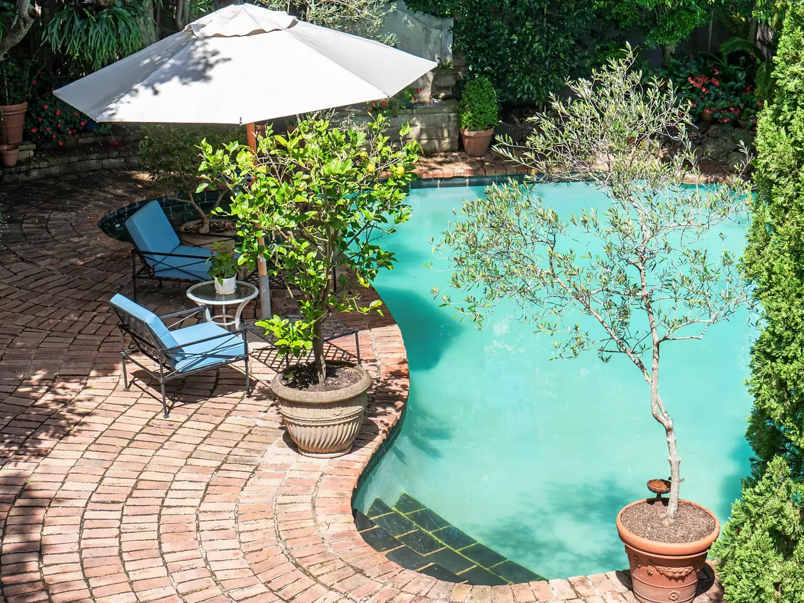 60 Cambridge Avenue, Vaucluse Sold by Sydney Sotheby's International Realty - image 14