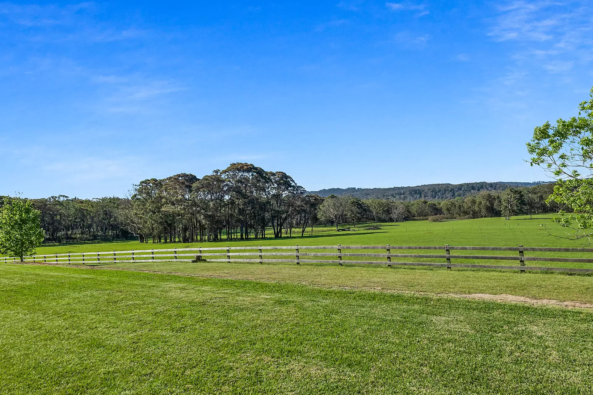 1035 Meryla Road, Meryla Sold by Sydney Sotheby's International Realty - image 20