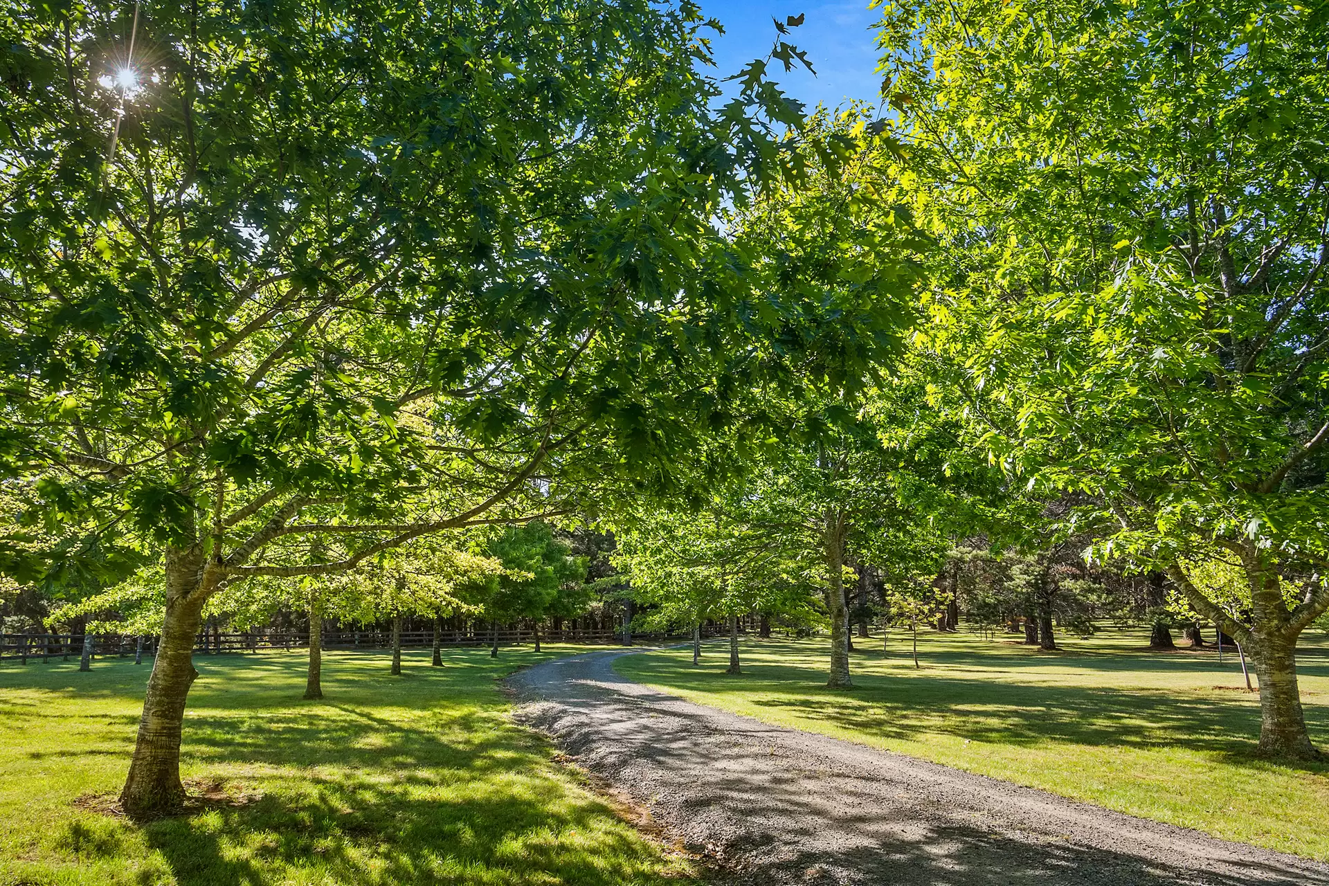 1035 Meryla Road, Meryla Sold by Sydney Sotheby's International Realty - image 18