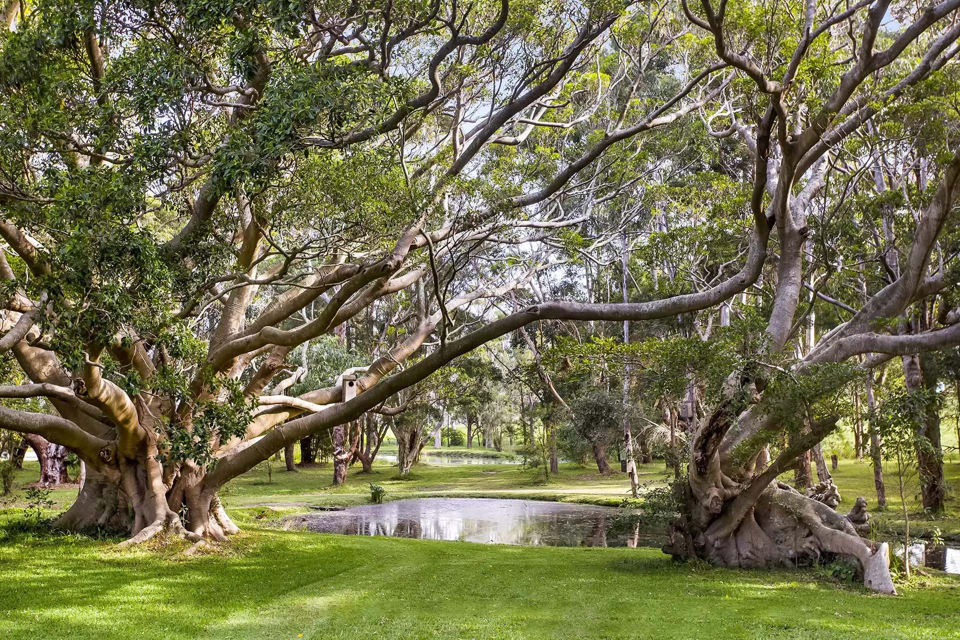73 Rose Valley Road, Rose Valley Sold by Sydney Sotheby's International Realty - image 23