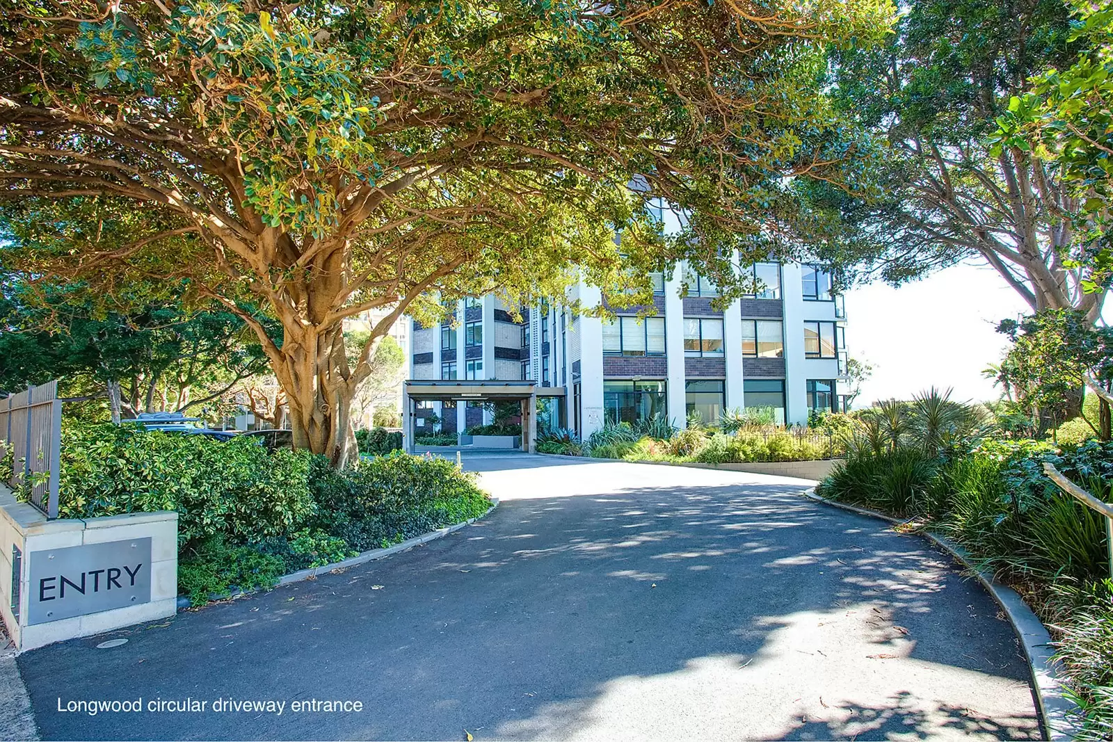 5B/5-11 Thornton Street, Darling Point Sold by Sydney Sotheby's International Realty - image 23