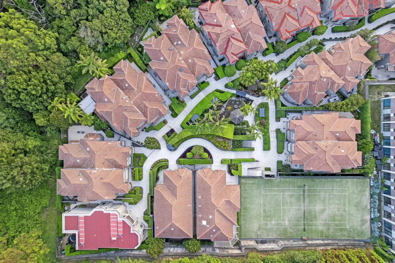9/17A Cooper Park Road, Bellevue Hill Leased by Sydney Sotheby's International Realty - image 23