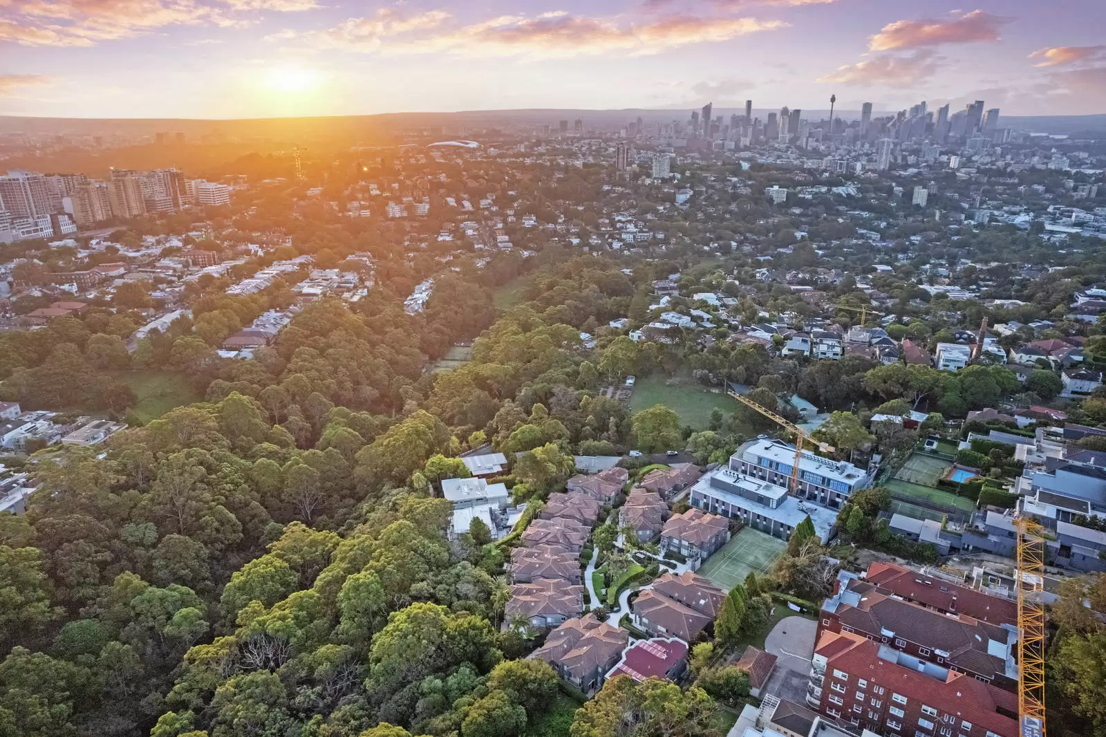 9/17A Cooper Park Road, Bellevue Hill Leased by Sydney Sotheby's International Realty - image 21