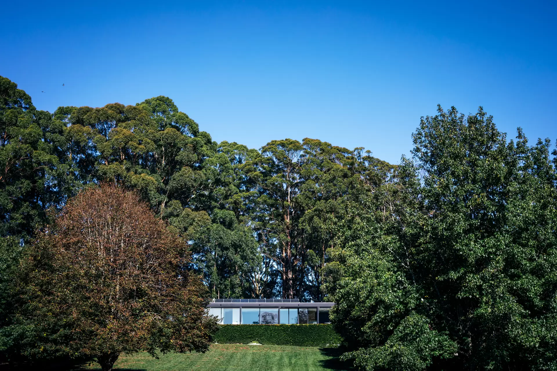 Wildes Meadow Sold by Sydney Sotheby's International Realty - image 2