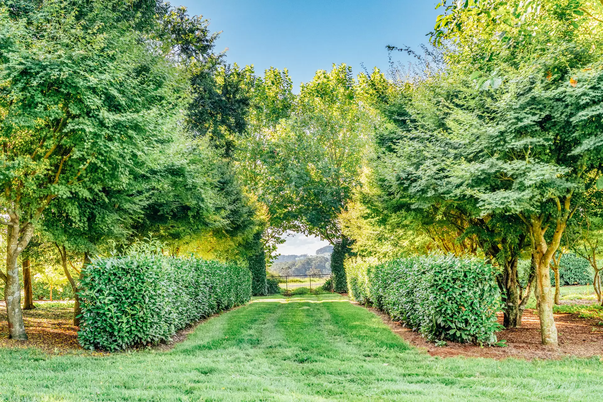Wildes Meadow Sold by Sydney Sotheby's International Realty - image 20