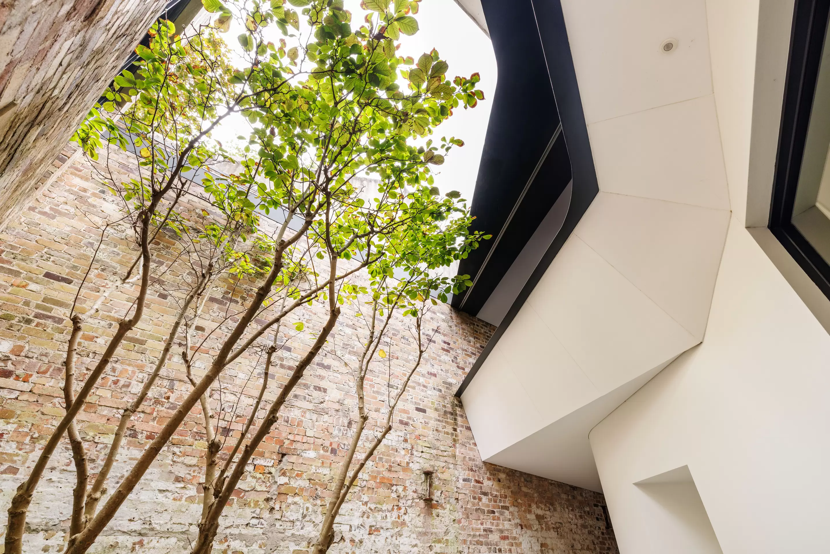464 Bourke Street, Surry Hills Sold by Sydney Sotheby's International Realty - image 10