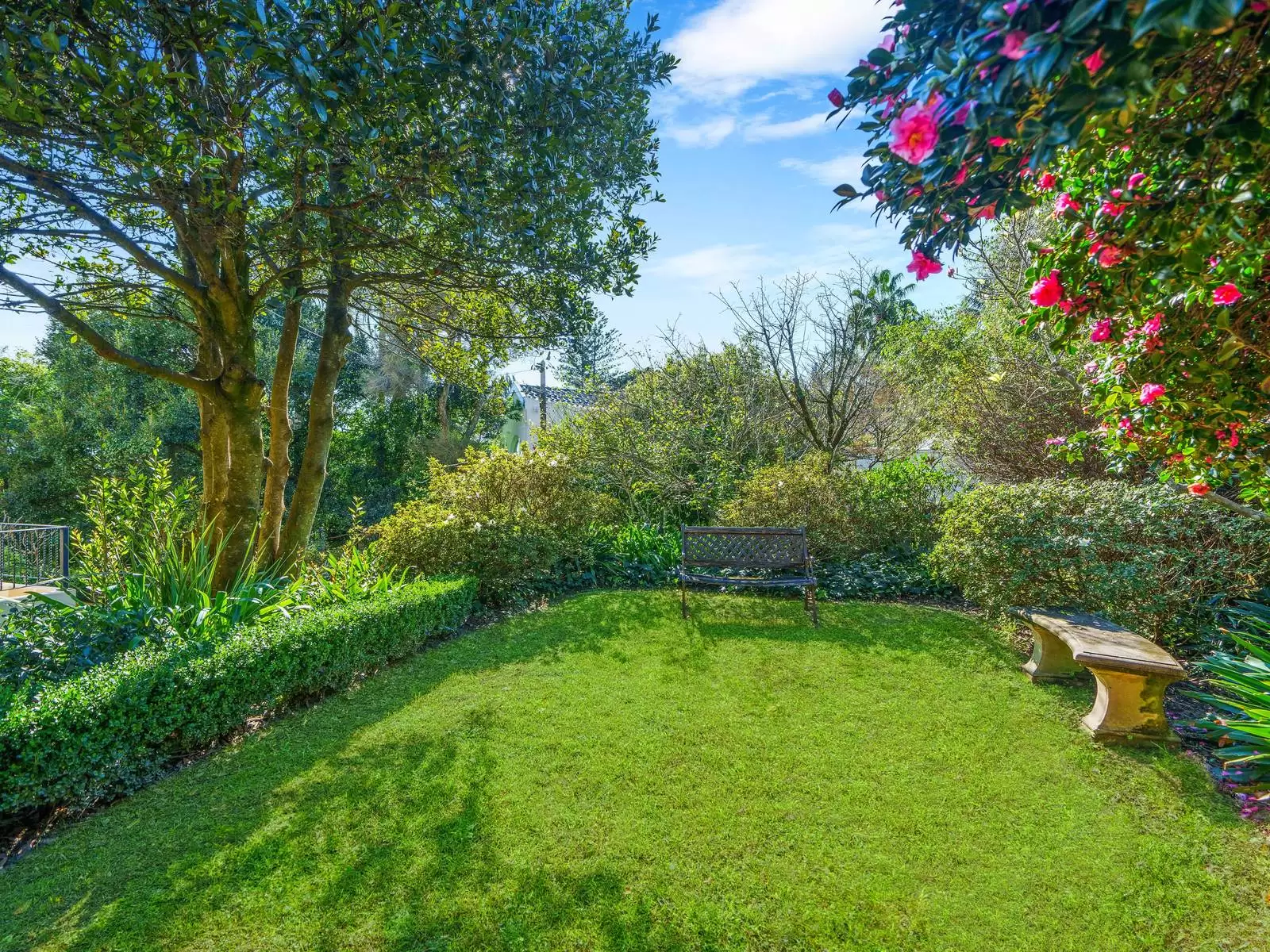 80B Hopetoun Avenue, Vaucluse Leased by Sydney Sotheby's International Realty - image 23
