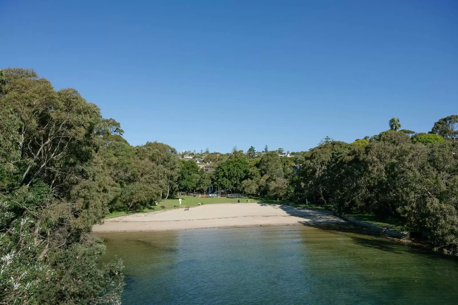 80B Hopetoun Avenue, Vaucluse Leased by Sydney Sotheby's International Realty - image 20