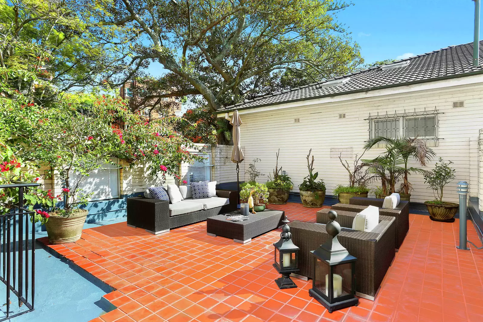 16A Ocean Avenue, Double Bay Leased by Sydney Sotheby's International Realty - image 11