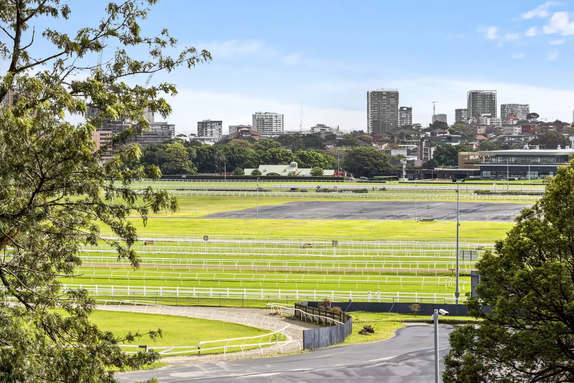 3 Wansey Road, Randwick Sold by Sydney Sotheby's International Realty - image 3