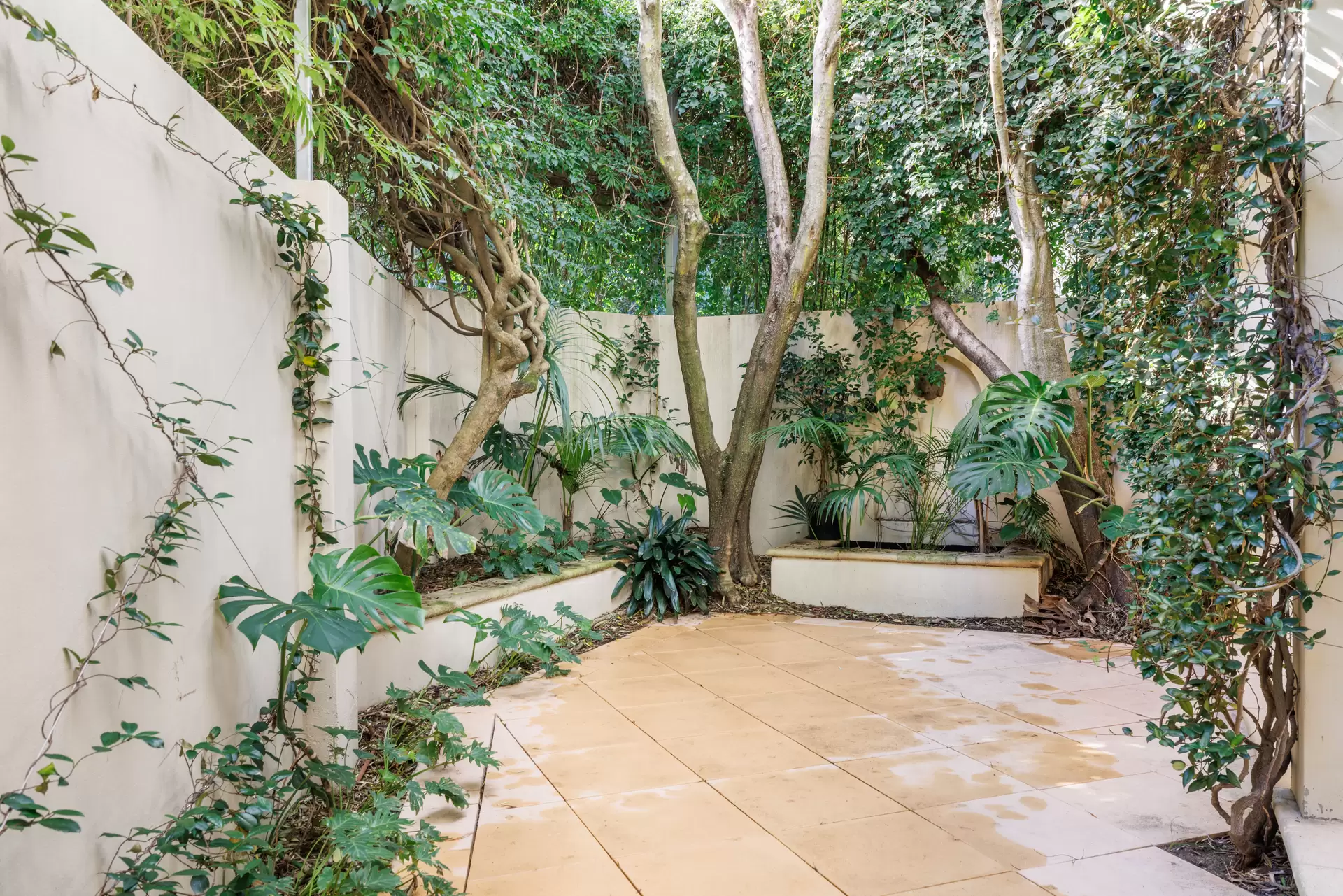 1 Roylston Street, Paddington Sold by Sydney Sotheby's International Realty - image 1