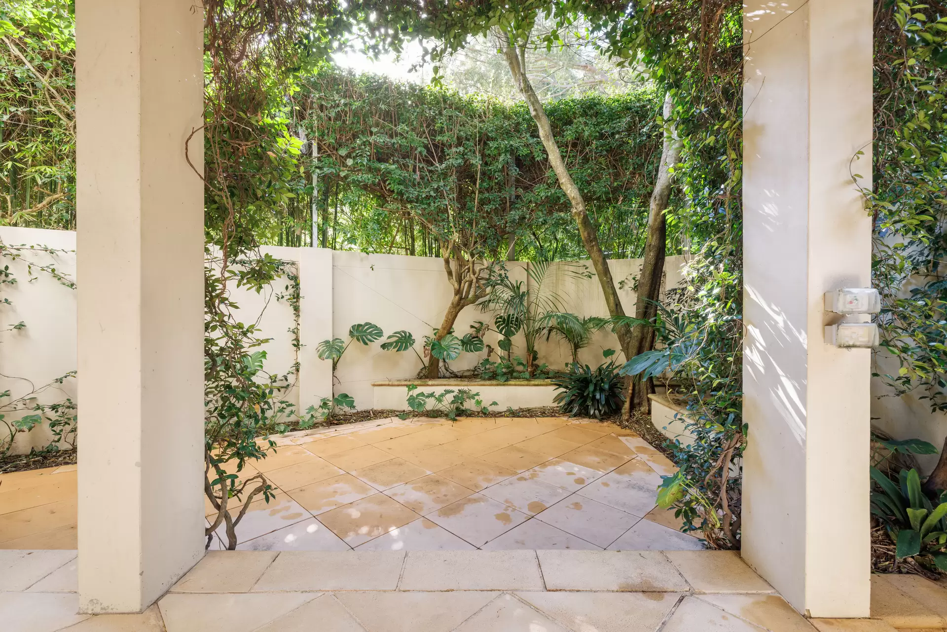 1 Roylston Street, Paddington Sold by Sydney Sotheby's International Realty - image 1