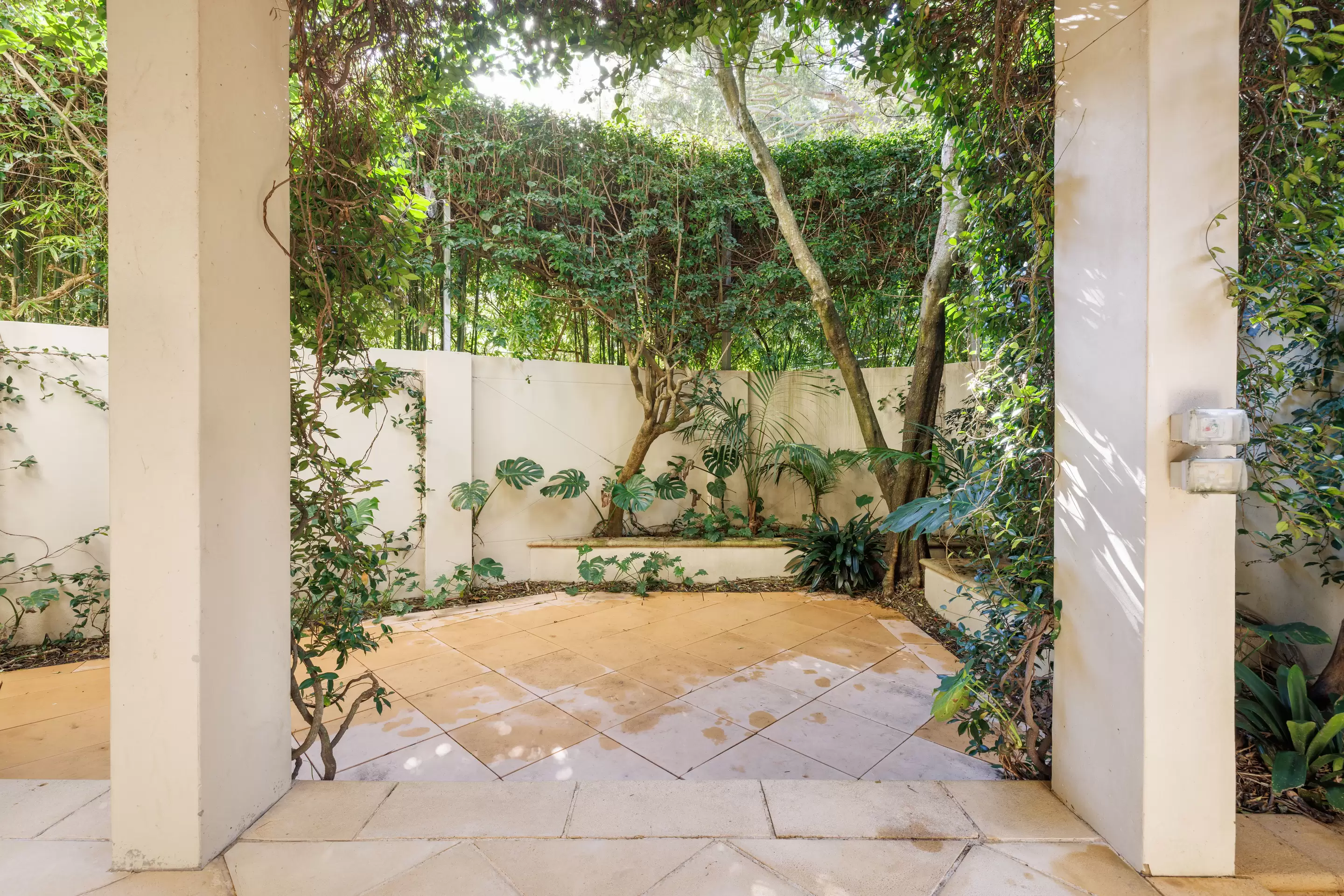 1 Roylston Street, Paddington Sold by Sydney Sotheby's International Realty - image 24