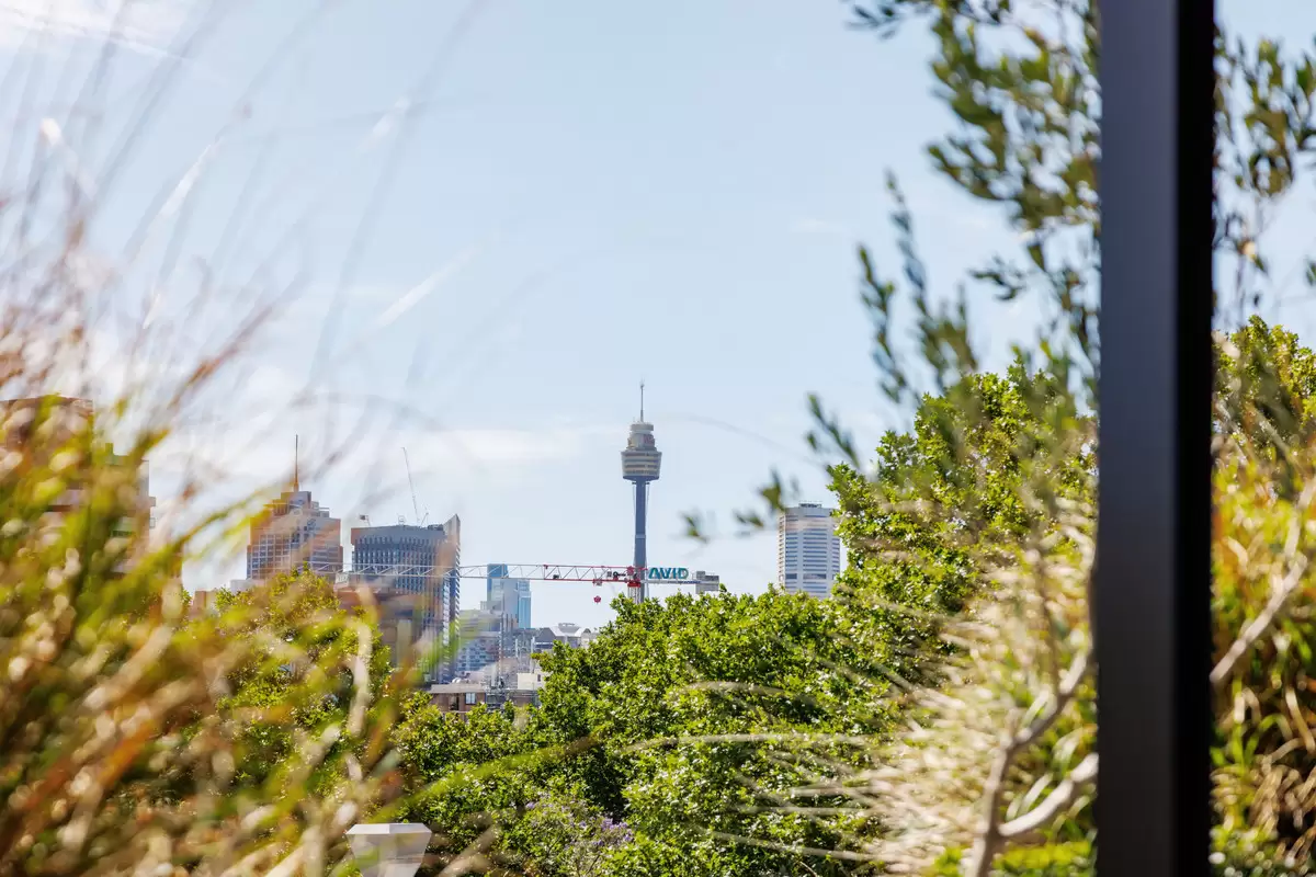 2 Church Street, Paddington Sold by Sydney Sotheby's International Realty - image 13