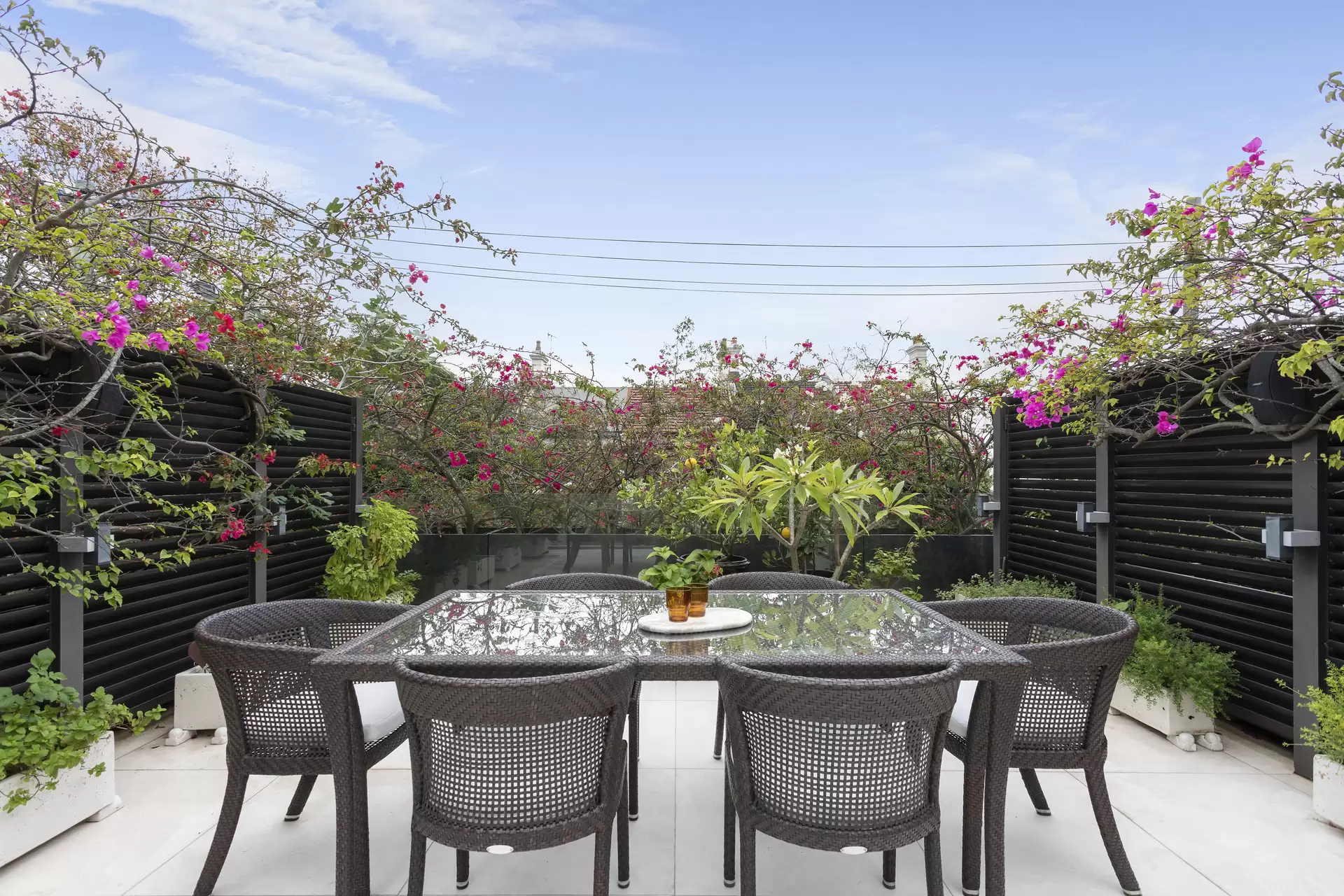 112 Glenmore Road, Paddington Sold by Sydney Sotheby's International Realty - image 13