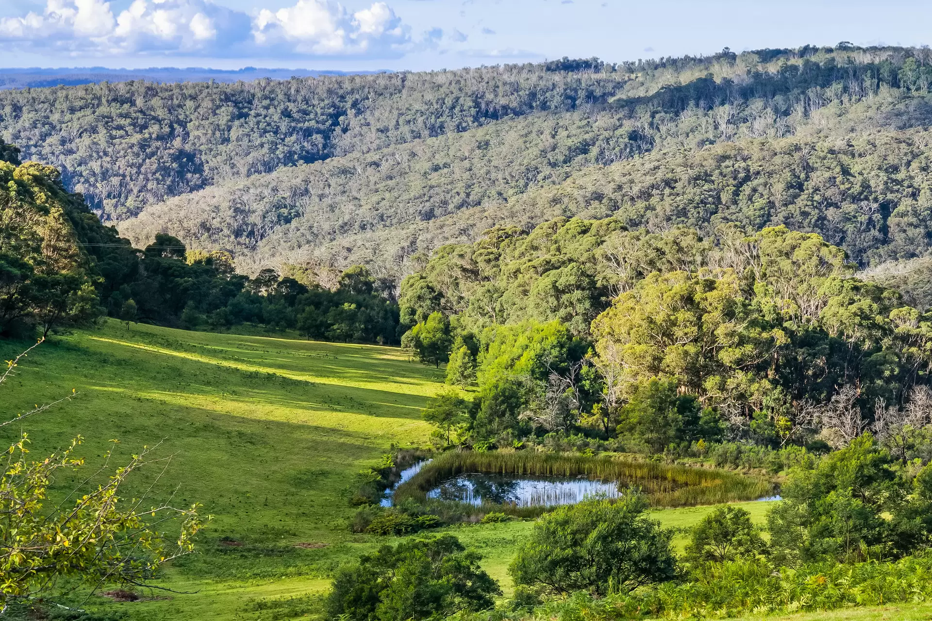 1639 Caoura Road, Tallong Sold by Sydney Sotheby's International Realty - image 4
