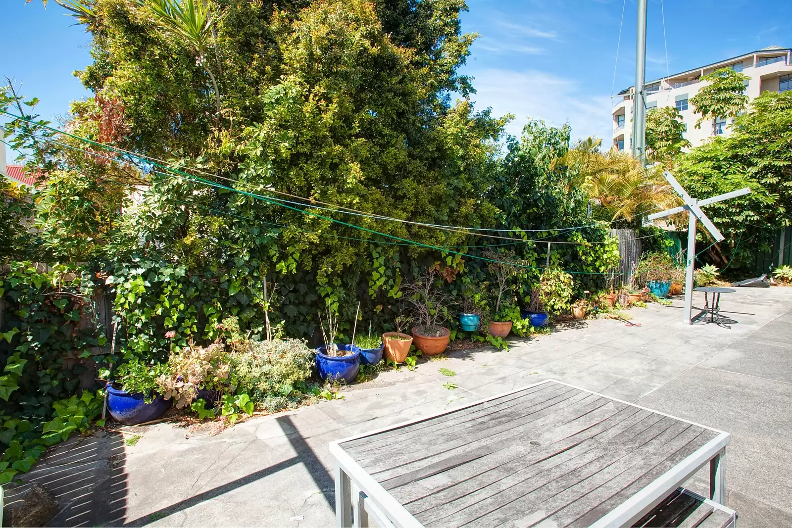 5-7 View Street, Annandale Sold by Sydney Sotheby's International Realty - image 4